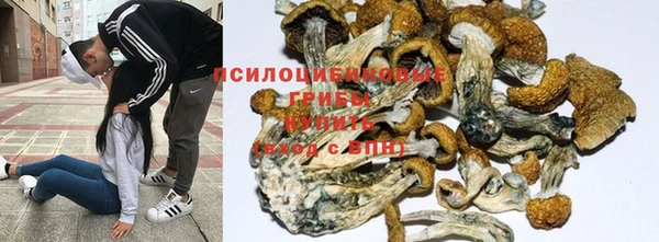 круглые Горняк