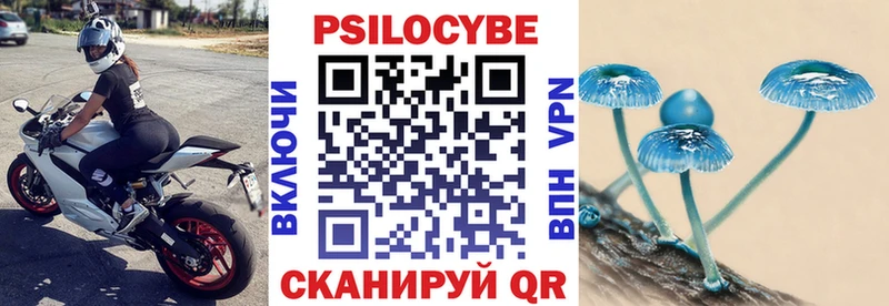хочу наркоту  Чкаловск  Псилоцибиновые грибы мухоморы 